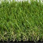 Urban Grass